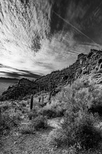 A083- Sonoran Desert Sunset, Tucson, AZ