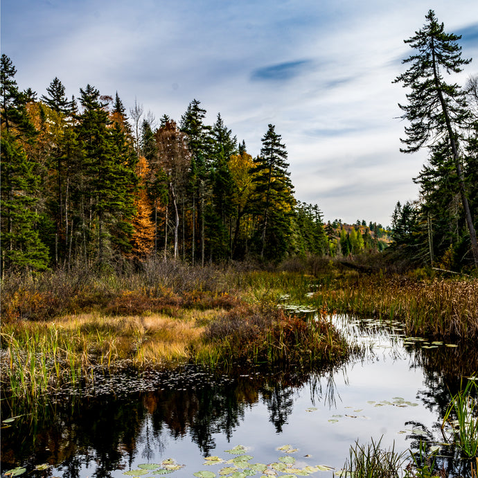 A045- Lily Pond, Lake Placid, NY