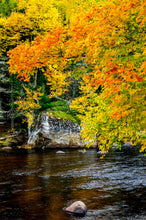Load image into Gallery viewer, A003- Orange Glow, Adirondack Park, NY