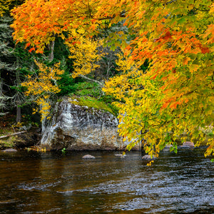 A003- Orange Glow, Adirondack Park, NY