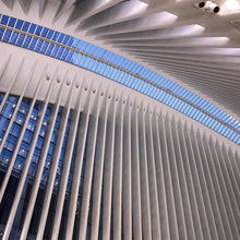 Load image into Gallery viewer, A048- Oculus Ceiling Spines, New York, NY