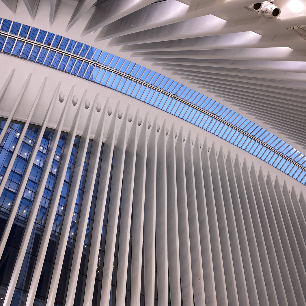 A048- Oculus Ceiling Spines, New York, NY