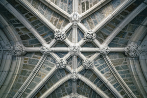 A006- Princeton Vaulted ceiling 1, Princeton, NJ