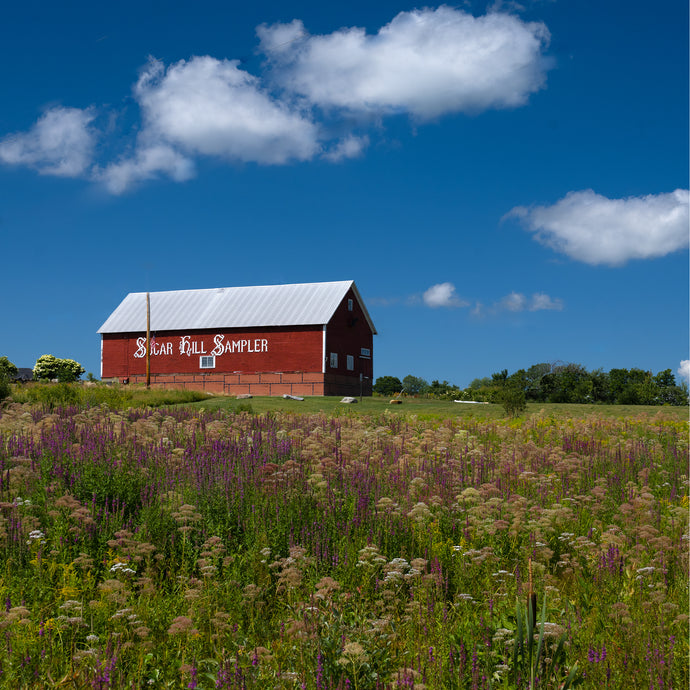 A064- Red Barn, Sugar Hill, NH