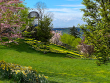 Load image into Gallery viewer, A144- Untermeyer Spring Bloom, Yonkers, NY