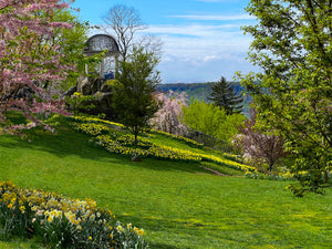 A144- Untermeyer Spring Bloom, Yonkers, NY