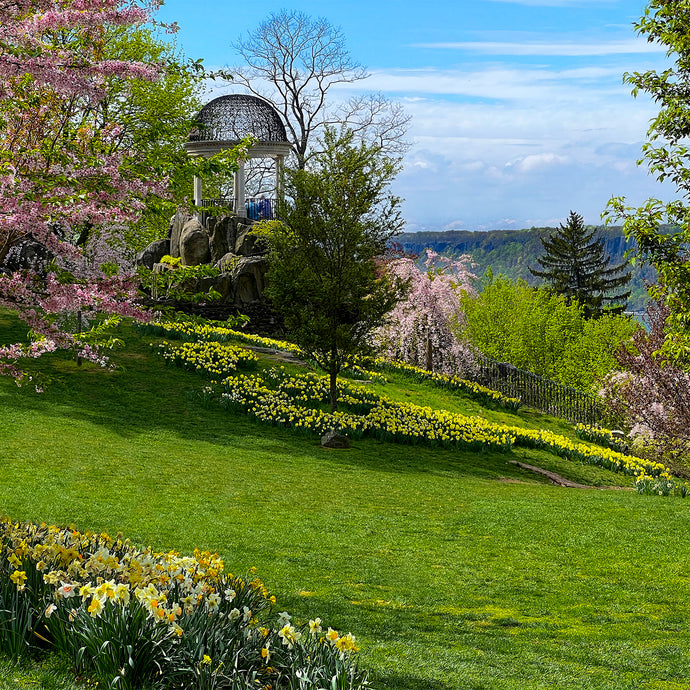 A144- Untermeyer Spring Bloom, Yonkers, NY