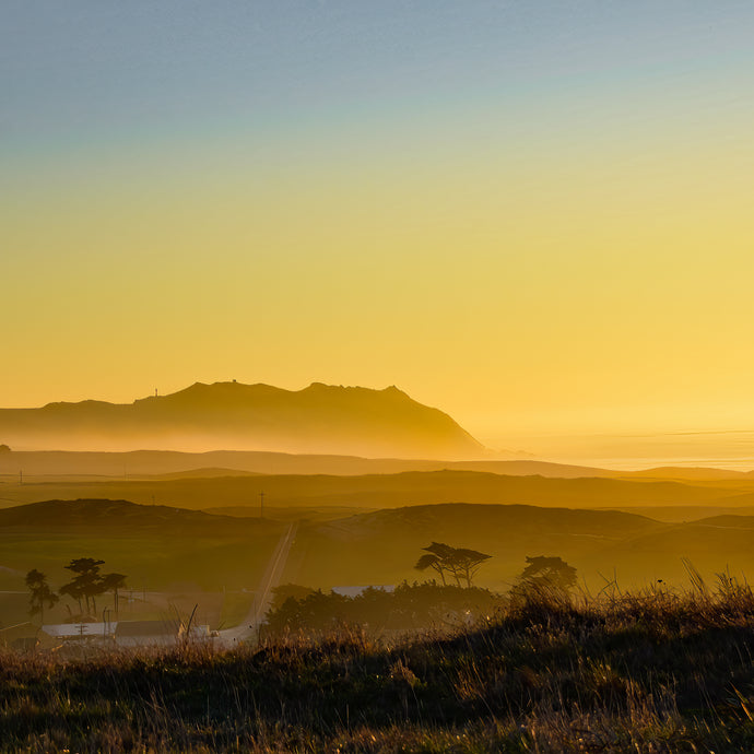 A115- Gold Coast, Point Reyes National Seashore, CA