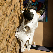 Load image into Gallery viewer, A153- Skull, Santa Fe, NM