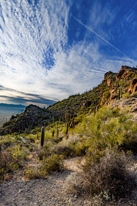A083- Sonoran Desert Sunset, Tucson, AZ