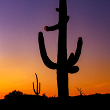 Load image into Gallery viewer, A089- Sunset Saguaro Purple and Orange, outside Organ Pipe Cactus National Monument, AZ