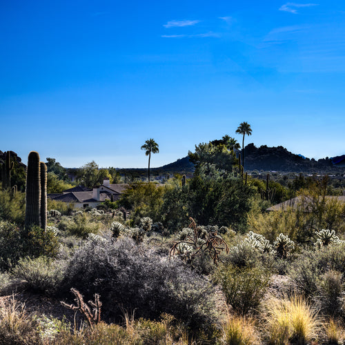 A082- Sonoran Desert High Noon, Phoenix, AZ