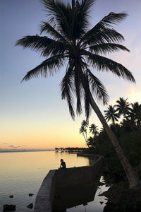 A123- Palm Sunset, Island of Yap, Micronesia