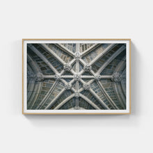 Load image into Gallery viewer, A006- Princeton Vaulted ceiling 1, Princeton, NJ
