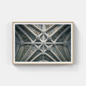 A006- Princeton Vaulted ceiling 1, Princeton, NJ