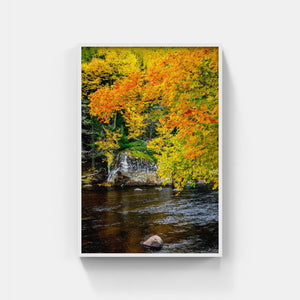 A003- Orange Glow, Adirondack Park, NY