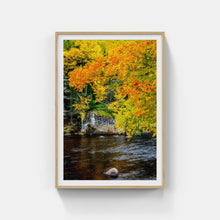 Load image into Gallery viewer, A003- Orange Glow, Adirondack Park, NY