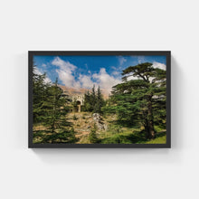 Load image into Gallery viewer, A031- Cedars of Lebanon, Bcharreh, Lebanon