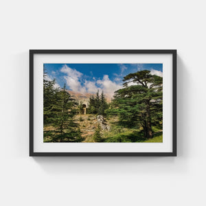 A031- Cedars of Lebanon, Bcharreh, Lebanon
