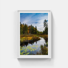 Load image into Gallery viewer, A045- Lily Pond, Lake Placid, NY