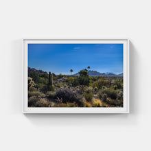 Load image into Gallery viewer, A082- Sonoran Desert High Noon, Phoenix, AZ