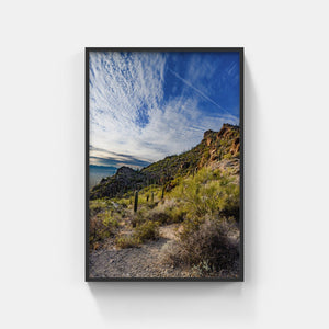 A083- Sonoran Desert Sunset, Tucson, AZ
