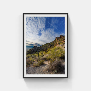 A083- Sonoran Desert Sunset, Tucson, AZ