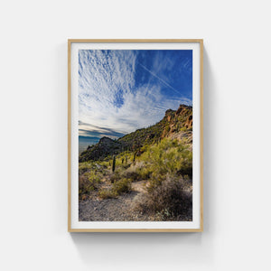 A083- Sonoran Desert Sunset, Tucson, AZ