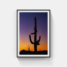 Load image into Gallery viewer, A089- Sunset Saguaro Purple and Orange, outside Organ Pipe Cactus National Monument, AZ