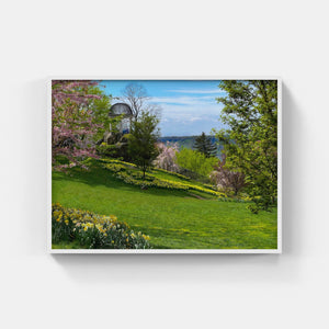 A144- Untermeyer Spring Bloom, Yonkers, NY