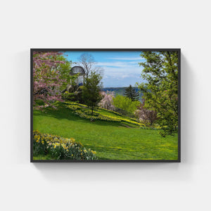 A144- Untermeyer Spring Bloom, Yonkers, NY