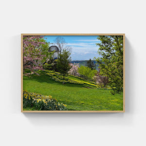 A144- Untermeyer Spring Bloom, Yonkers, NY