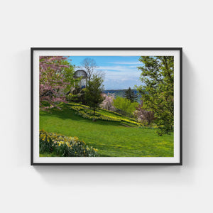 A144- Untermeyer Spring Bloom, Yonkers, NY