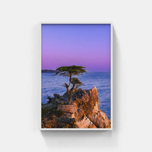 Load image into Gallery viewer, A095A-  Cypress Blues, Carmel, CA
