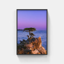 Load image into Gallery viewer, A095A-  Cypress Blues, Carmel, CA