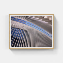 Load image into Gallery viewer, A048- Oculus Ceiling Spines, New York, NY