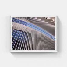 Load image into Gallery viewer, A048- Oculus Ceiling Spines, New York, NY